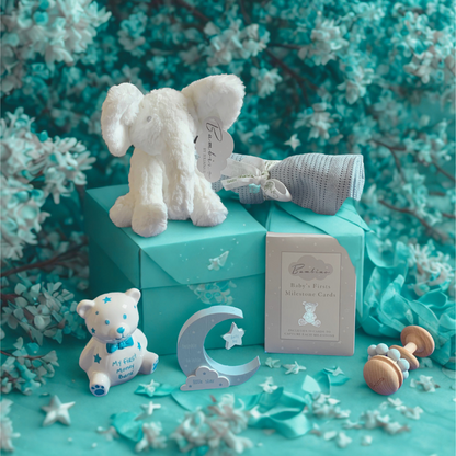Baby Boy Hamper